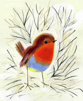 Twigs: Robin with twigs and branches