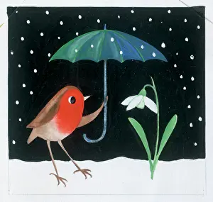 Snowdrop: Robin with Umbrella and Snowdrop