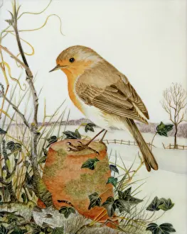 Upturned: Robin ? on an upturned flower pot