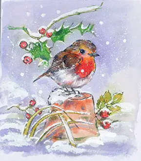Matthes: Robin on an upturned flowerpot in the snow