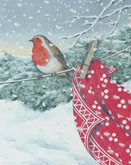 Pegged: Robin on a washing line