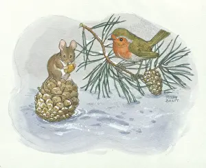 Acorn: Robin watching a mouse eating an acorn