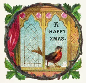 Windowsill: Robin on Windowsill
