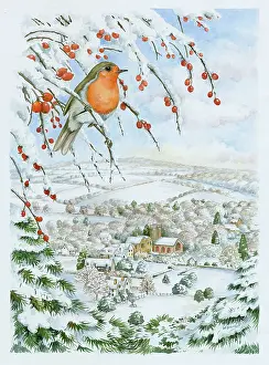 Bramall: Robin in Winter Landscape
