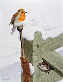 Lilly: Robin and Wren on a Gate ' in snow