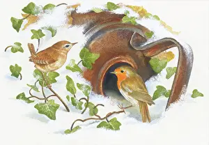 Rusty: Robin and Wren with rusty kettle burried in snow