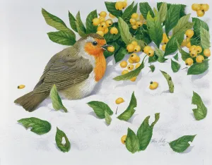 Lilly: Robin and yellow-berried Pyracantha
