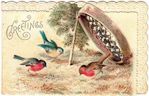 Sieve: Two robins and a blue tit on a greetings card