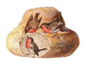 Pecking: Robins with bread on a loaf-shaped Christmas card