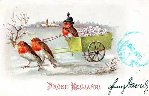 Envelopes: Robins with a cart on a German New Year postcard