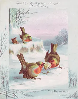 Morsel: Robins on a Christmas card