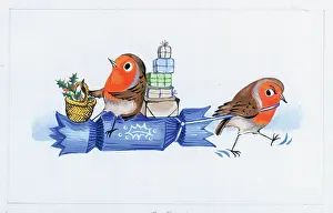 Annoyed: Two Robins with Christmas Cracker Sledge