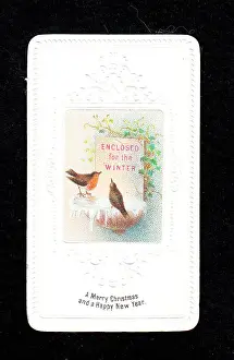 Birdbath: Two robins on a Christmas and New Year card