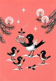 Adair: Robins with Christmas pudding