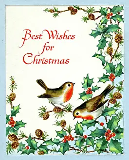 Cones: Two robins with holly and fir cones