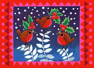 Jane Gordon Clark: Three Robins with Holly - Harlequin Frame