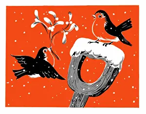 Two Colour: Two robins with mistletoe