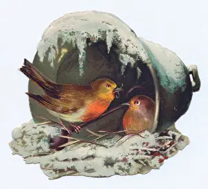 Redbreast: Robins nesting on a bell-shaped Christmas card