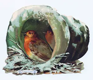 Redbreast: Robins nesting on a hat-shaped New Year card