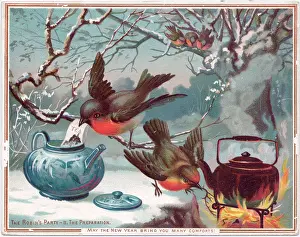 Redbreast: Robins on a New Year card