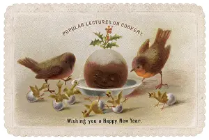 Mysteries: Robins and Pudding
