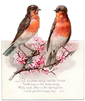 Reversible: Two robins on a reversible Christmas card