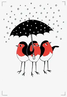 Cute Christmas: Three Robins Sheltering under an Umbrella