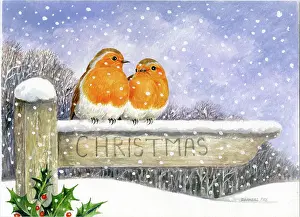Two robins on a signpost with snow