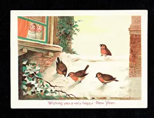 Crumbs: Four robins in the snow on a New Year card