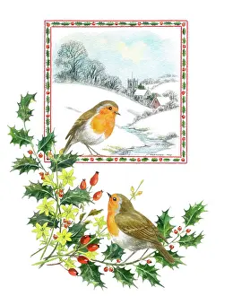Robins with snow scene and holly