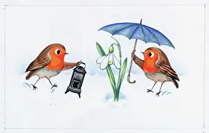 Snowdrop: Two Robins in snow with stove and umbrella