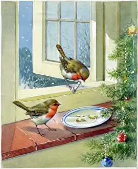 Sill: Two Robins on window sill