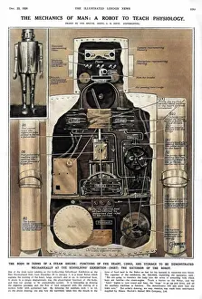 Educations: A Robot to Teach Physiology by G. H. Davis