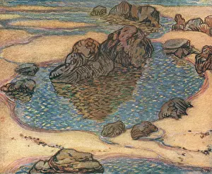 Vividly: Rock Pool