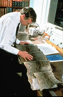 Ophidia: Rock Python skin