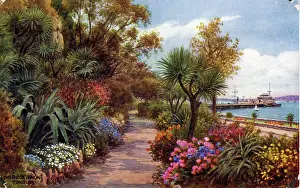 Torquay: The Rock Walk showing the Pier, Torquay, Devon