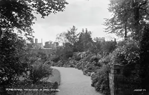 Rockery: The Rockery at St John's College