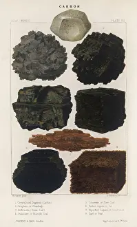 Peat: Rocks - Carbon
