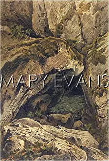 Crevice: ROCKS AND LUMINOUS MOSS