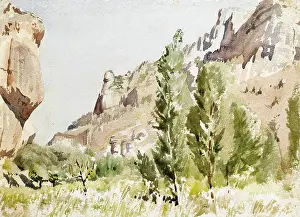 Sheppard: Rocky landscape with trees and grass