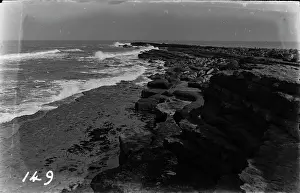 Seaweed: Rocky Shoreline by the Sea