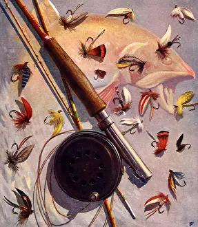 Reel: Rod and Reel