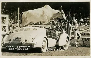 Roped: Rodeo - Cecil Cornish and Danger (the bull)