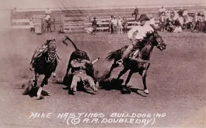 Bulldogging: Rodeo - Cowboy - Competition - Historical