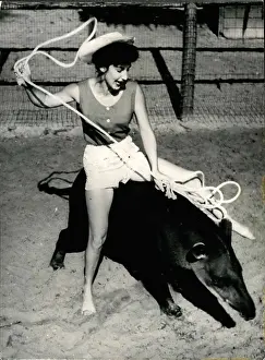 Backwards: Rodeo Queen on American Tapir