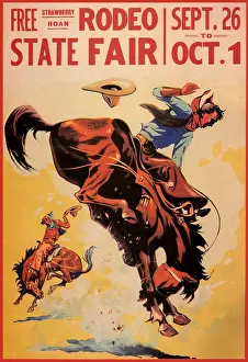 Dear: Rodeo at State Fair