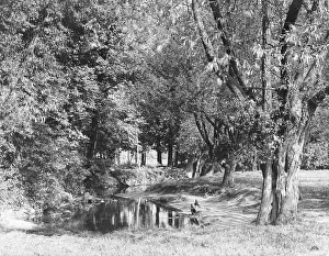 Wanstead: THE RODING AT WANSTEAD