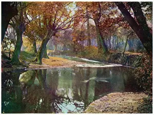 Wanstead: The Roding at Wanstead