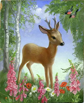 Foxgloves: Roebuck amongst flowers and birch trees