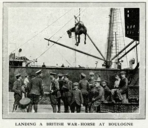 Tackle: The Role of the horses in WWI 1914